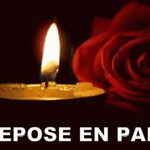 Meet your Posher, Rosine